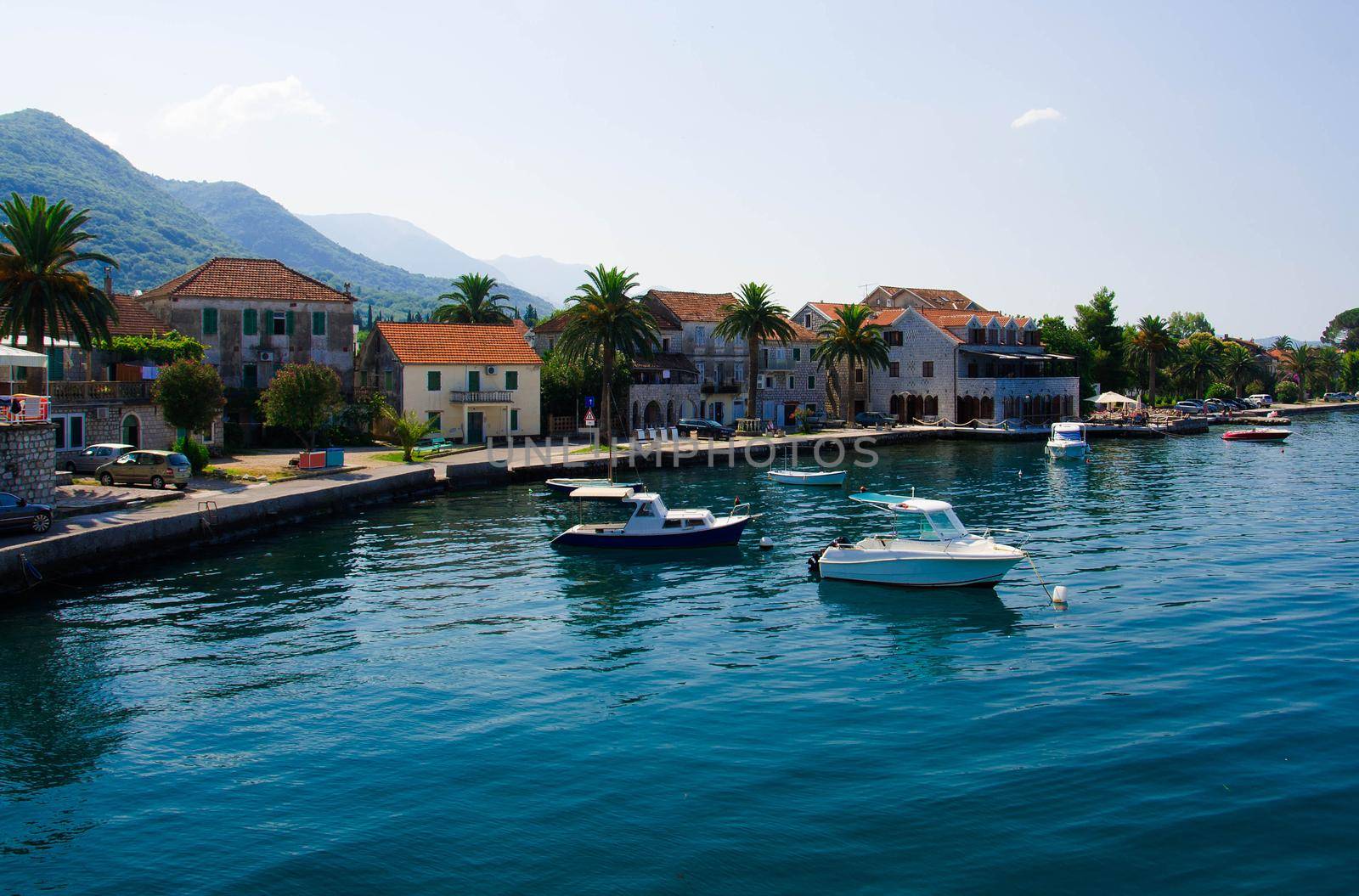 Yachts and fishing boats on the water near seaside village with palms and buildings with red tiled roofs on a sunny day, Bay of Kotor, Tivat, Seljanovo, Montenegro