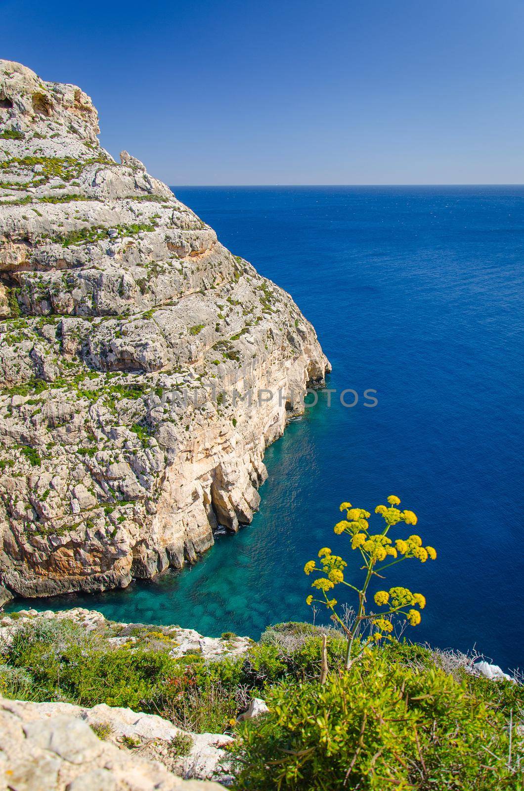 Cliffs and Maltese mediterranean seacoast near the Blue Grotto, Malta by Aliaksandr_Antanovich
