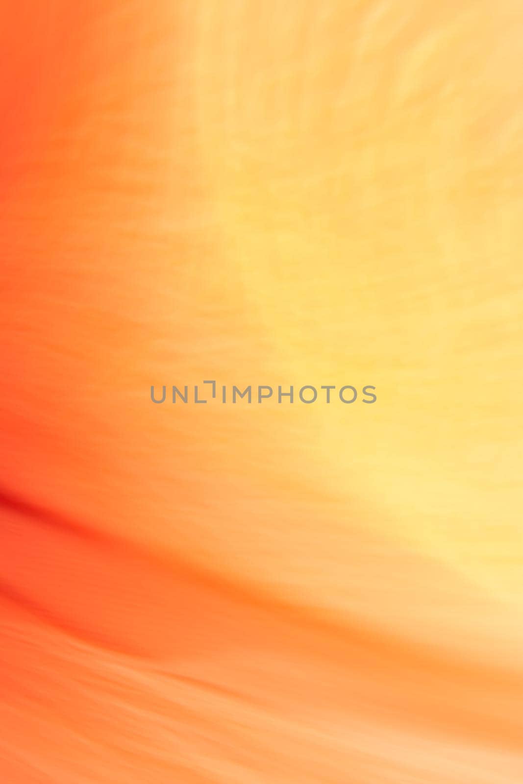 Abstraction is vertical. Hot sunny day. Yellow orange background. Backdrop