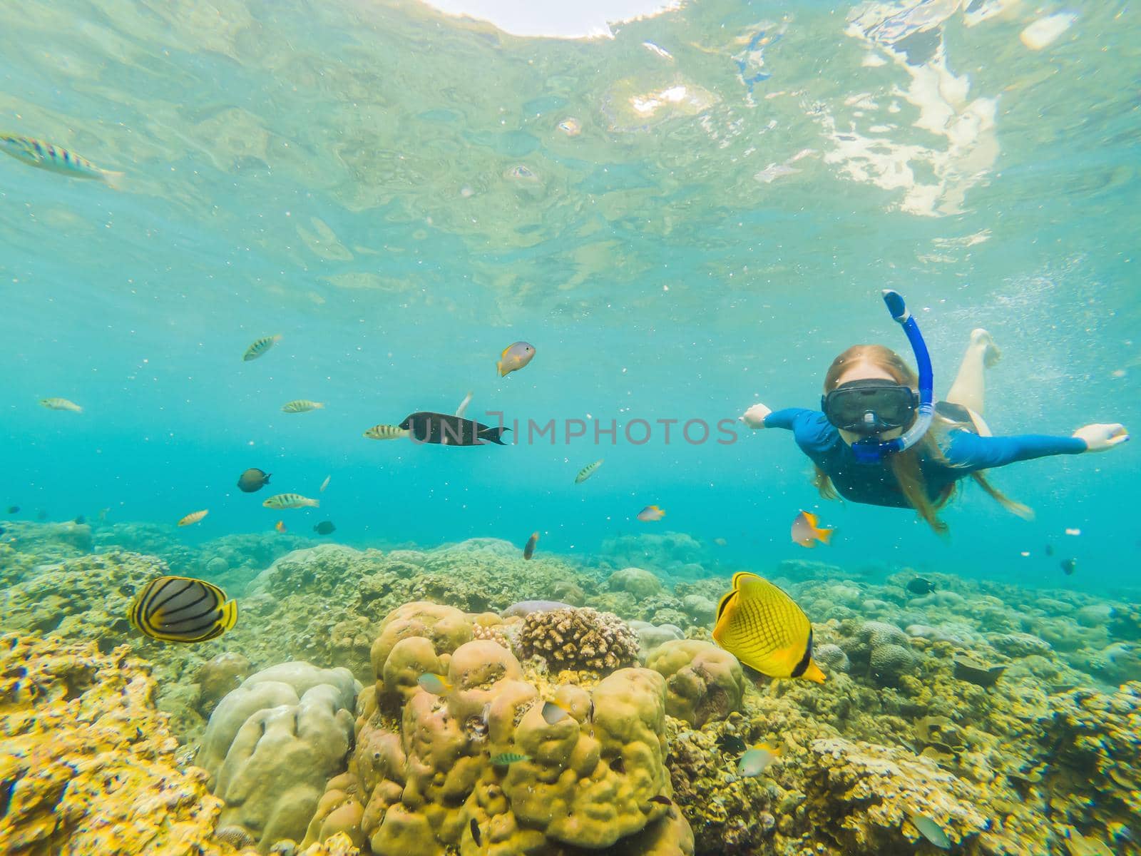 Happy woman in snorkeling mask dive underwater with tropical fishes in coral reef sea pool. Travel lifestyle, water sport outdoor adventure, swimming lessons on summer beach holiday.