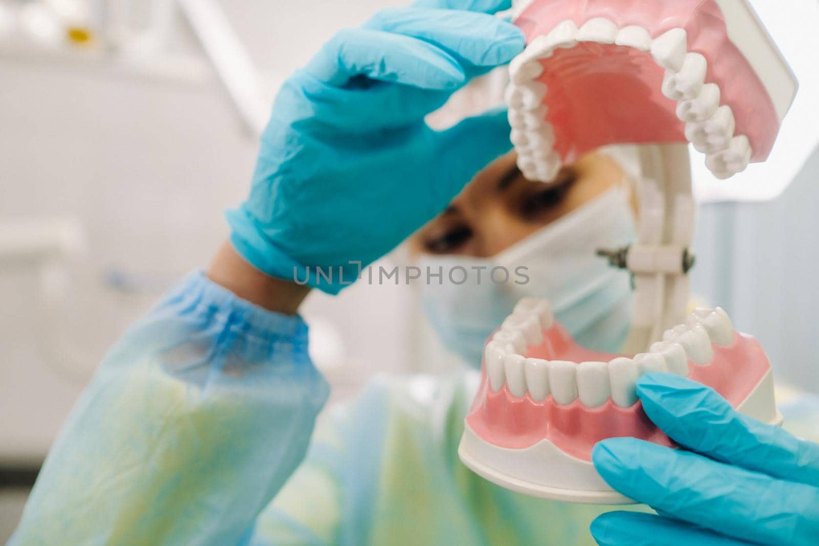 A model of a human jaw with teeth and a toothbrush in the dentist's hand.