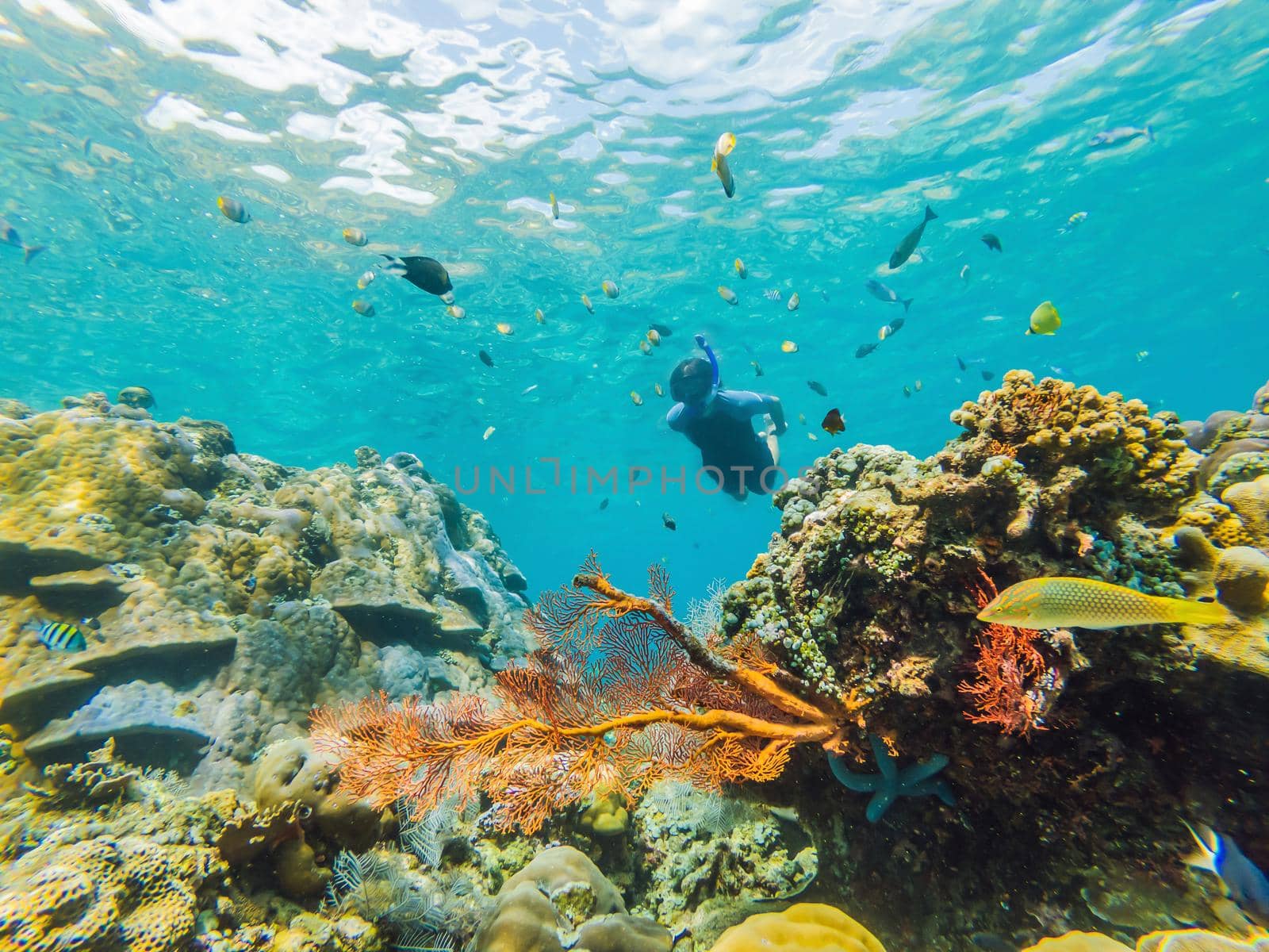 Happy man in snorkeling mask dive underwater with tropical fishes in coral reef sea pool. Travel lifestyle, water sport outdoor adventure, swimming lessons on summer beach holiday. Aerial view from the drone by galitskaya