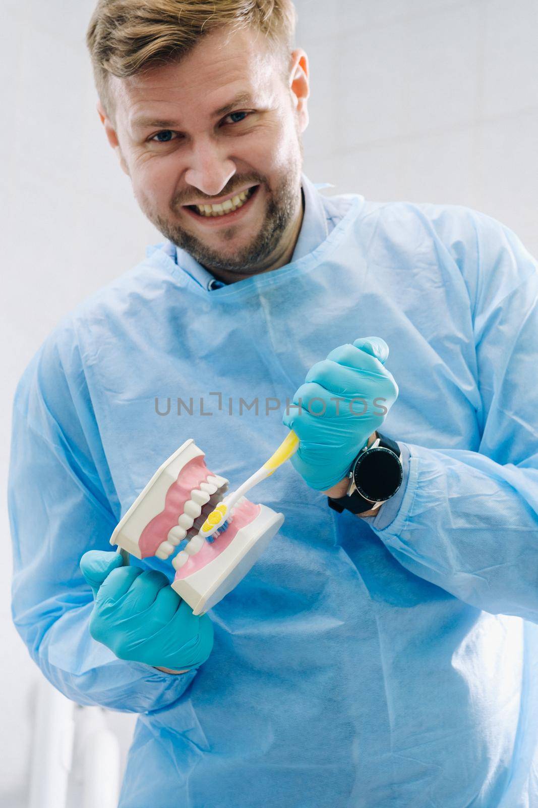 A model of a human jaw with teeth and a toothbrush in the dentist's hand.