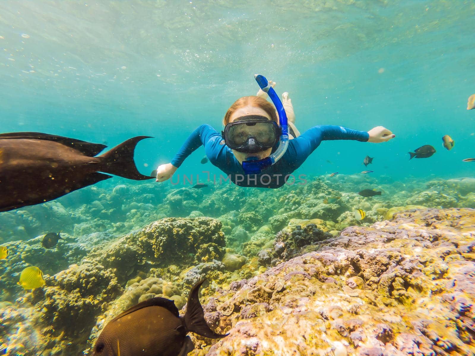Happy woman in snorkeling mask dive underwater with tropical fishes in coral reef sea pool. Travel lifestyle, water sport outdoor adventure, swimming lessons on summer beach holiday.
