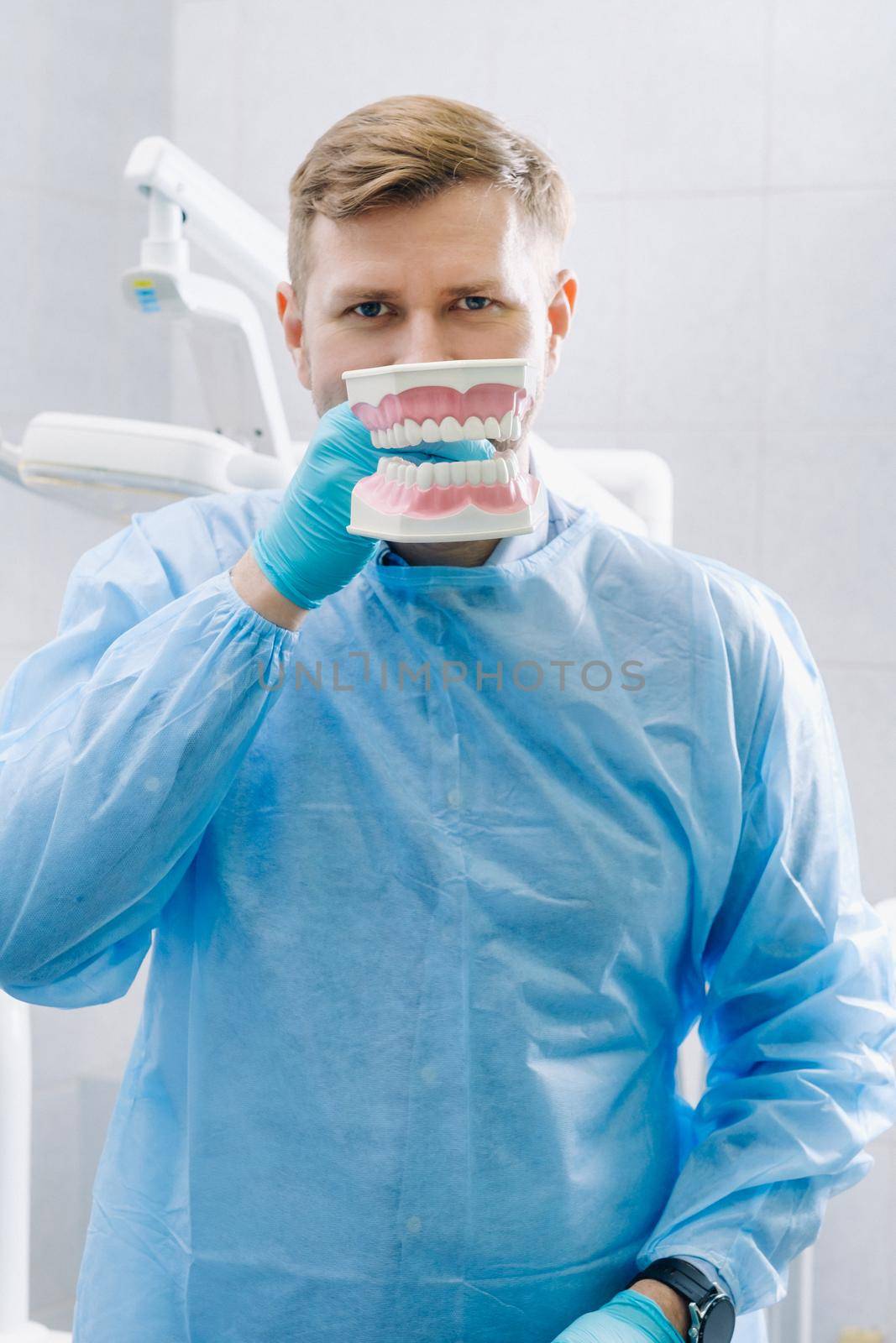 A model of a human jaw with teeth and a toothbrush in the dentist's hand.