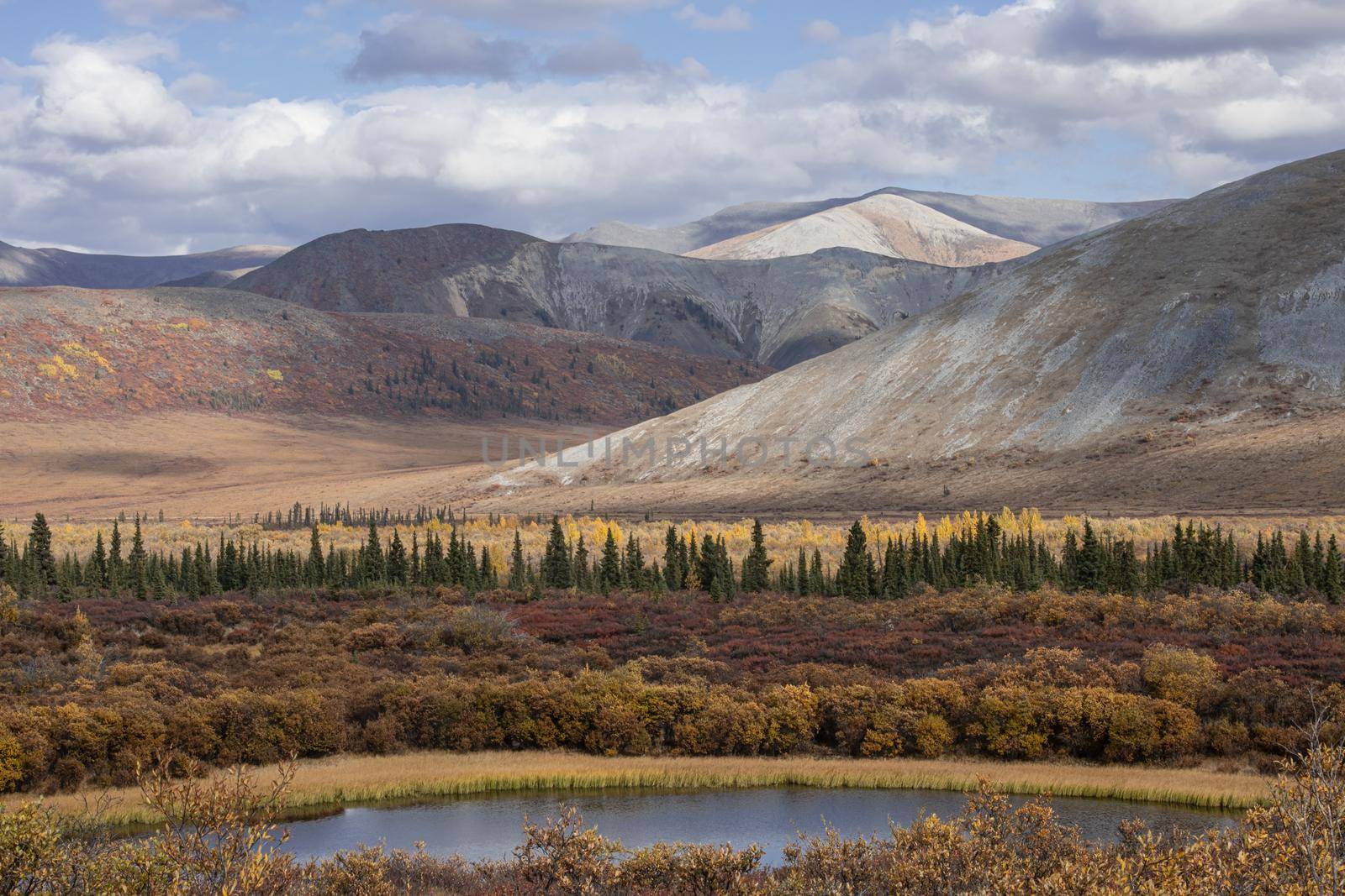 Yukon beauty in the fall boasts brilliant colors