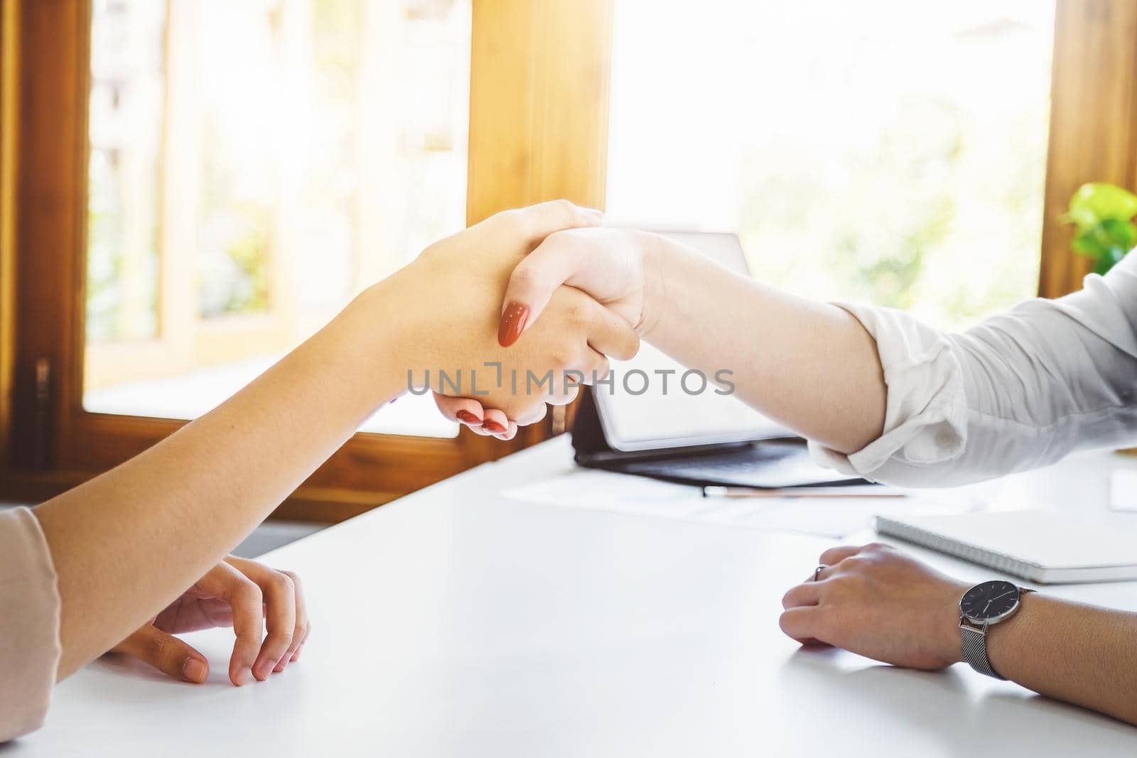 Young businesswoman collaborate with partners to increase their business investment network for Plans to improve quality next month in their office. agreement concept