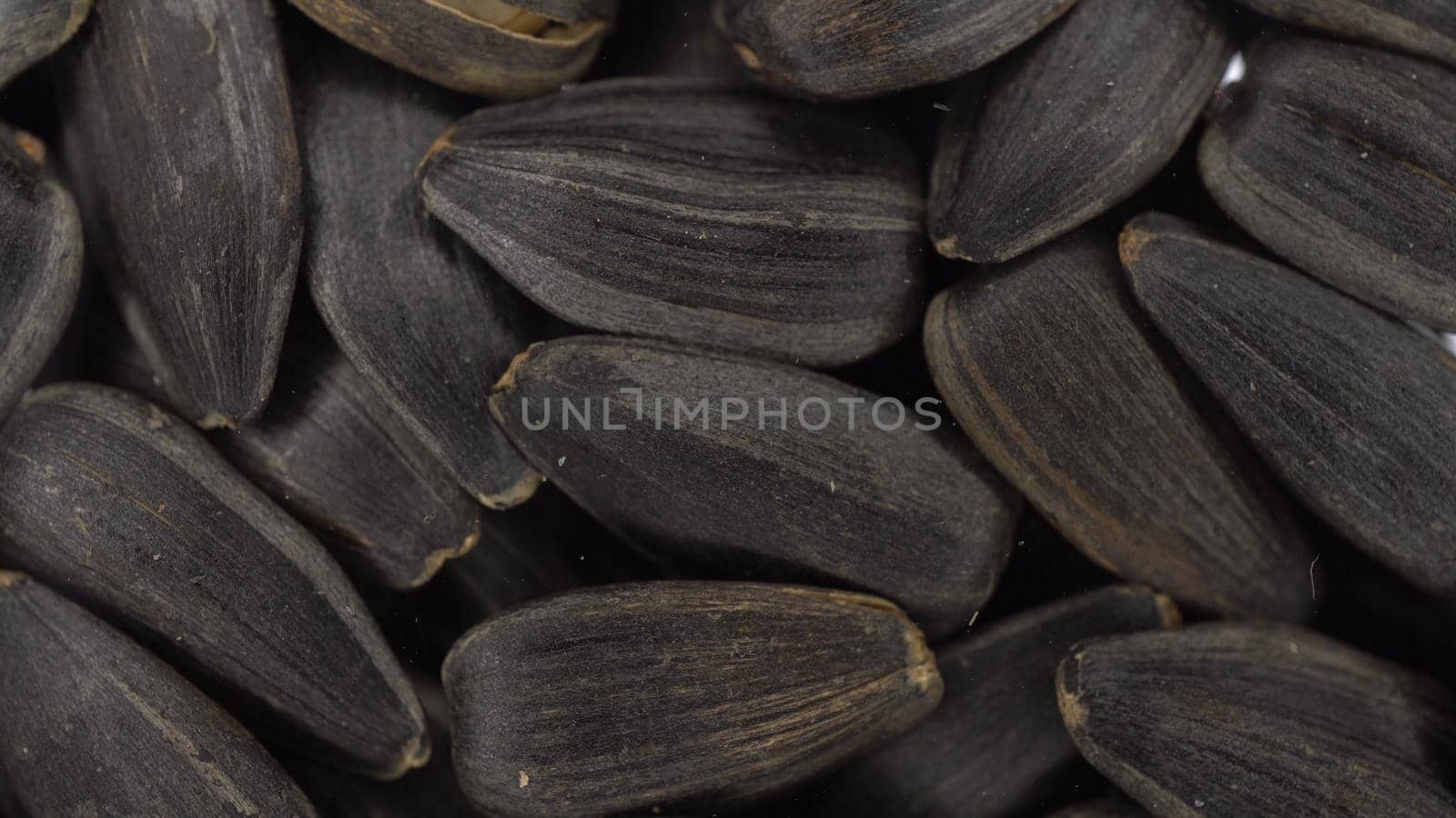 Sunflower seeds fall on glass against a bright white background. Close-up view of the seeds. 4k