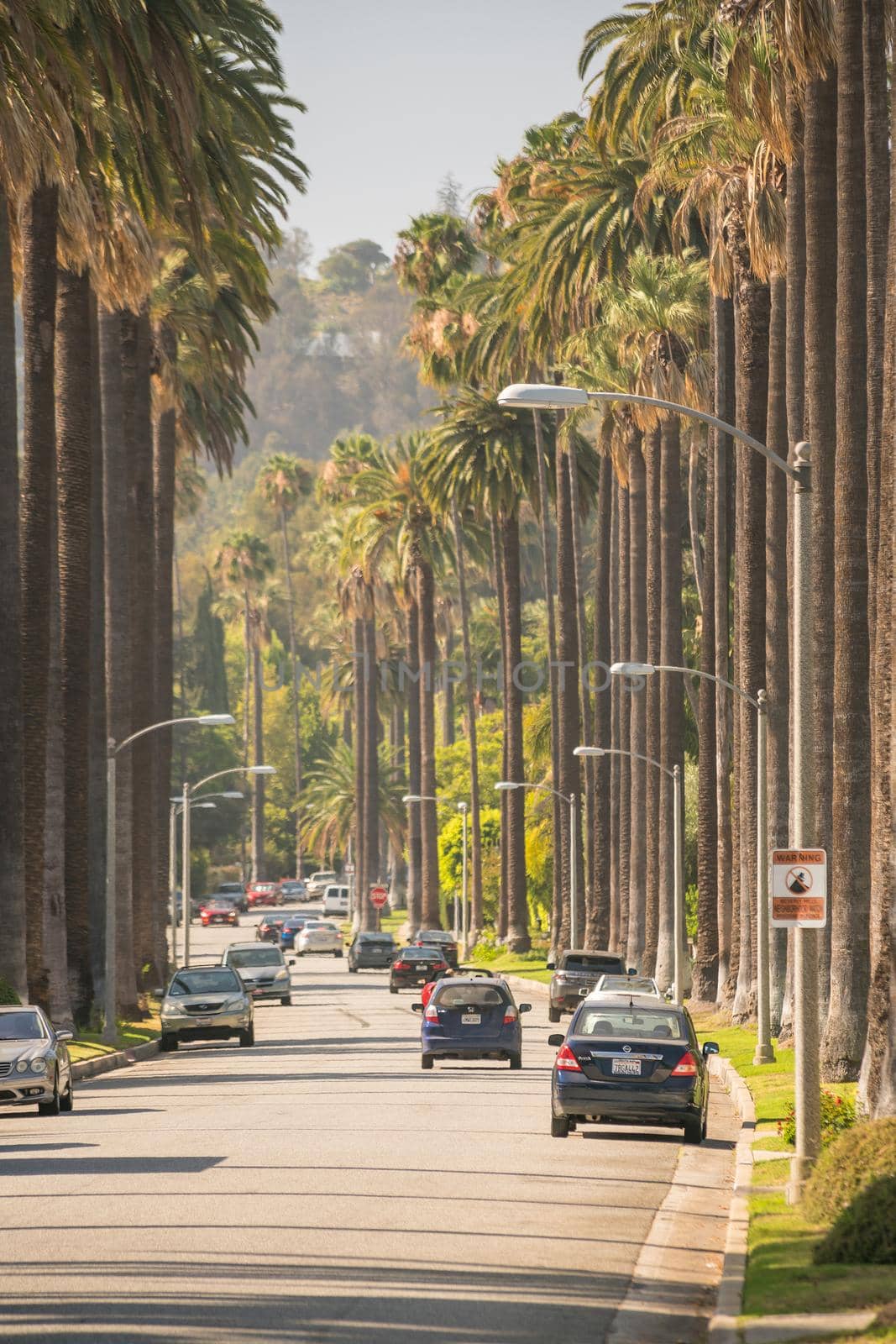 Streets of Beverly Hills in California by f11photo