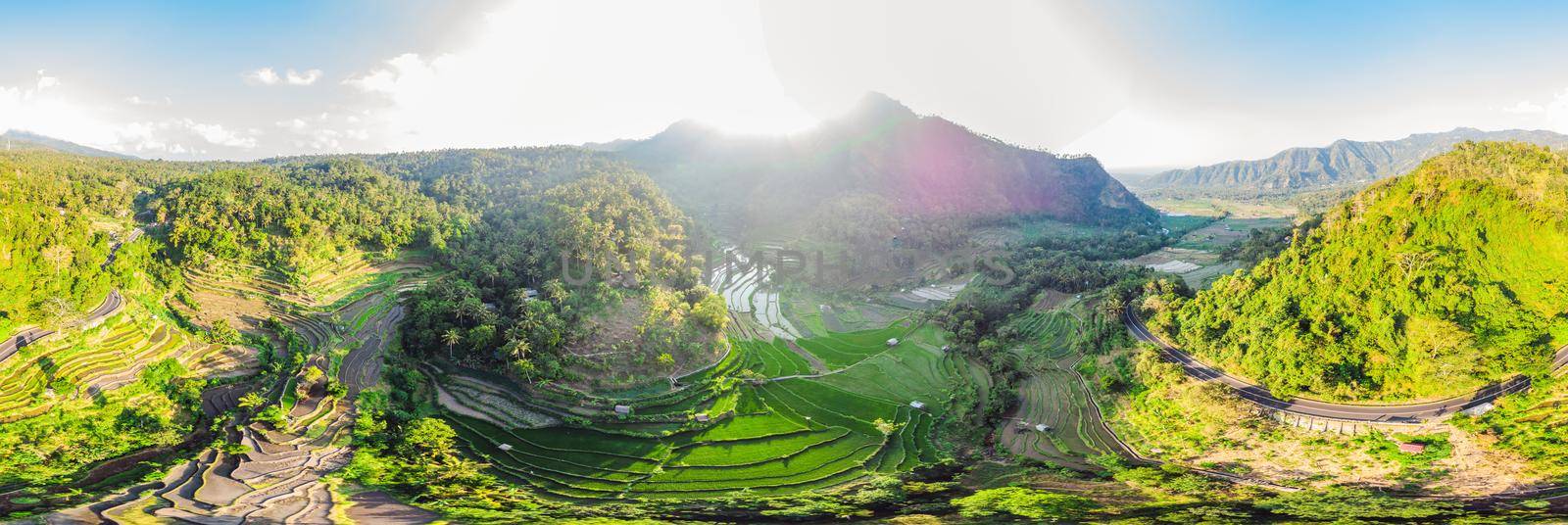 Green cascade rice field plantation at Bali, Indonesia.