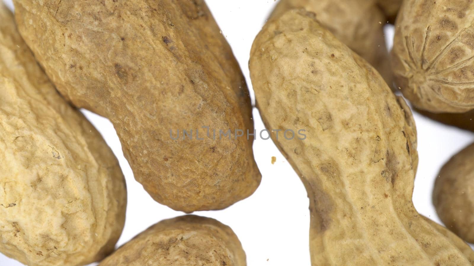 Peanuts in the skin falls on the glass on a bright white background. Peanut close up view from below. 4k