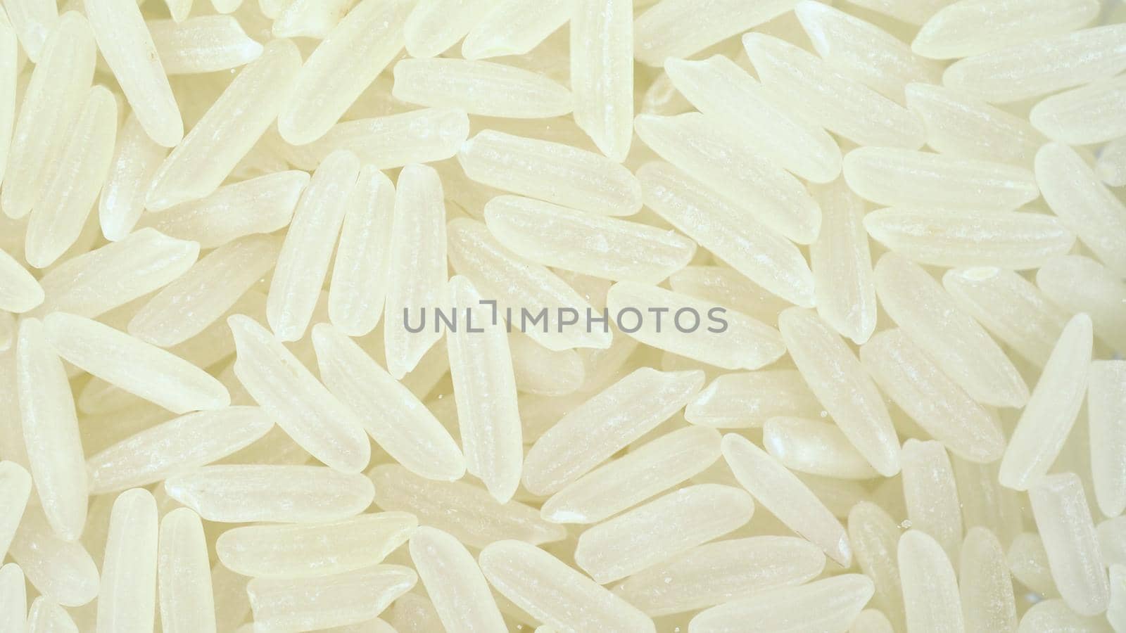 Rice falls on the glass on a bright white background. Macro bottom view of rice. 4k