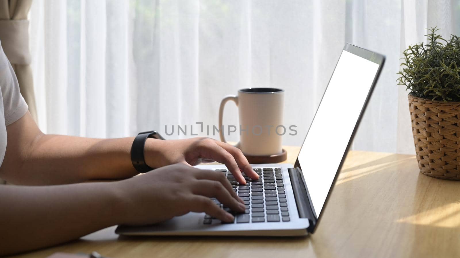 Cropped shot casual young woman sitting in bright living room and using computer laptop.