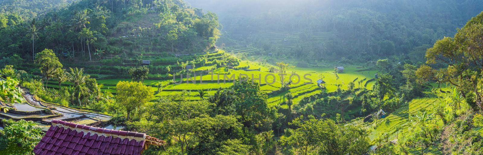 Green cascade rice field plantation at Bali, Indonesia.