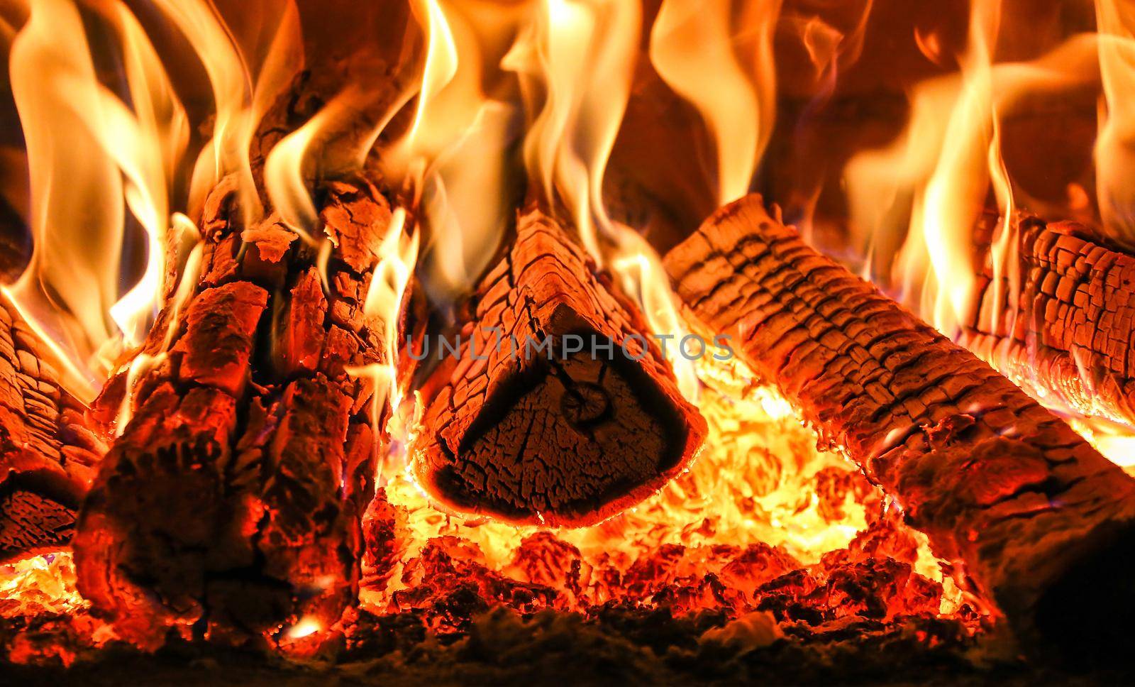 Burning firewood in the fireplace close up