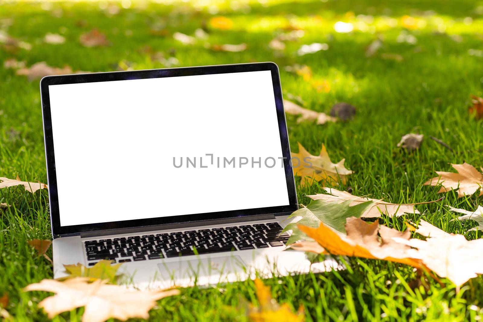 blank screen laptop computer on terrace with beautiful autumn colorful red and yellow maple leaves background, copy space for display presentation, marketing, advertisement concept.