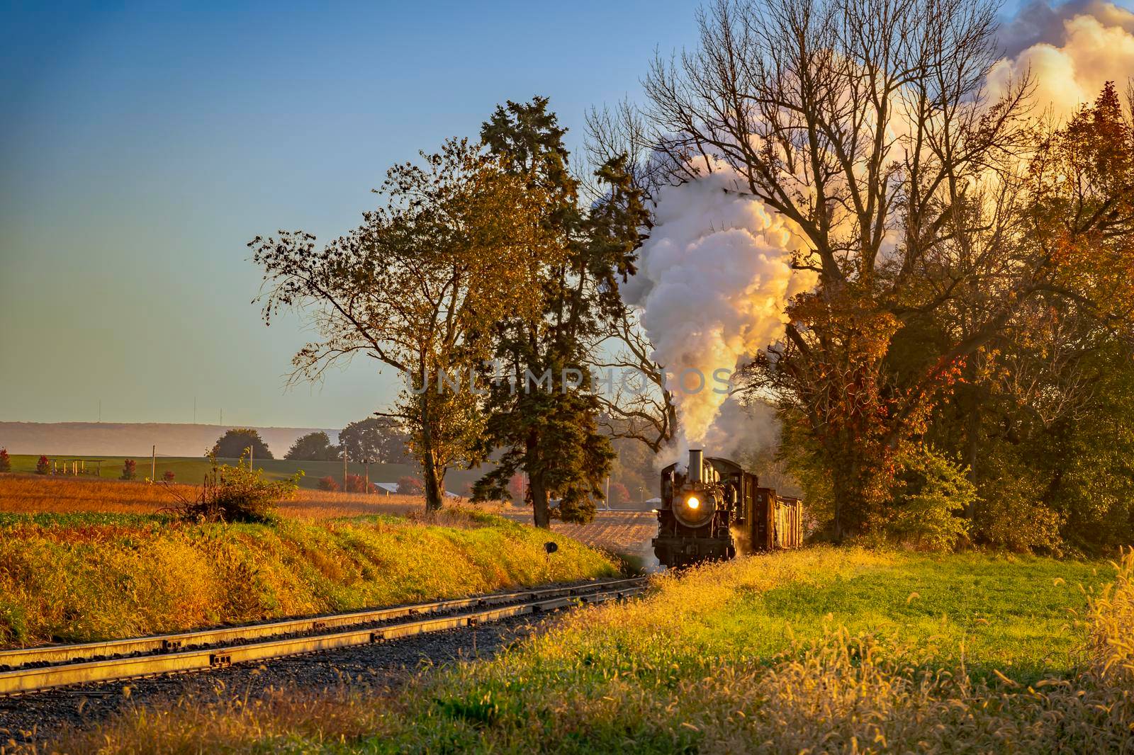 A View of an Antique Freight Steam Train Blowing Smoke Approaching Thru Trees in Late Afternoon