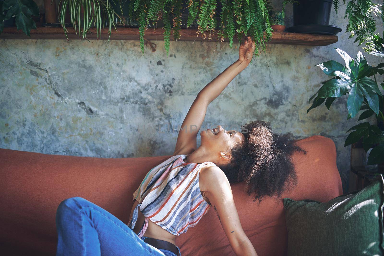 Cropped shot of a beautiful African young woman looking at her plants on her sofa at home - Stock Photo
