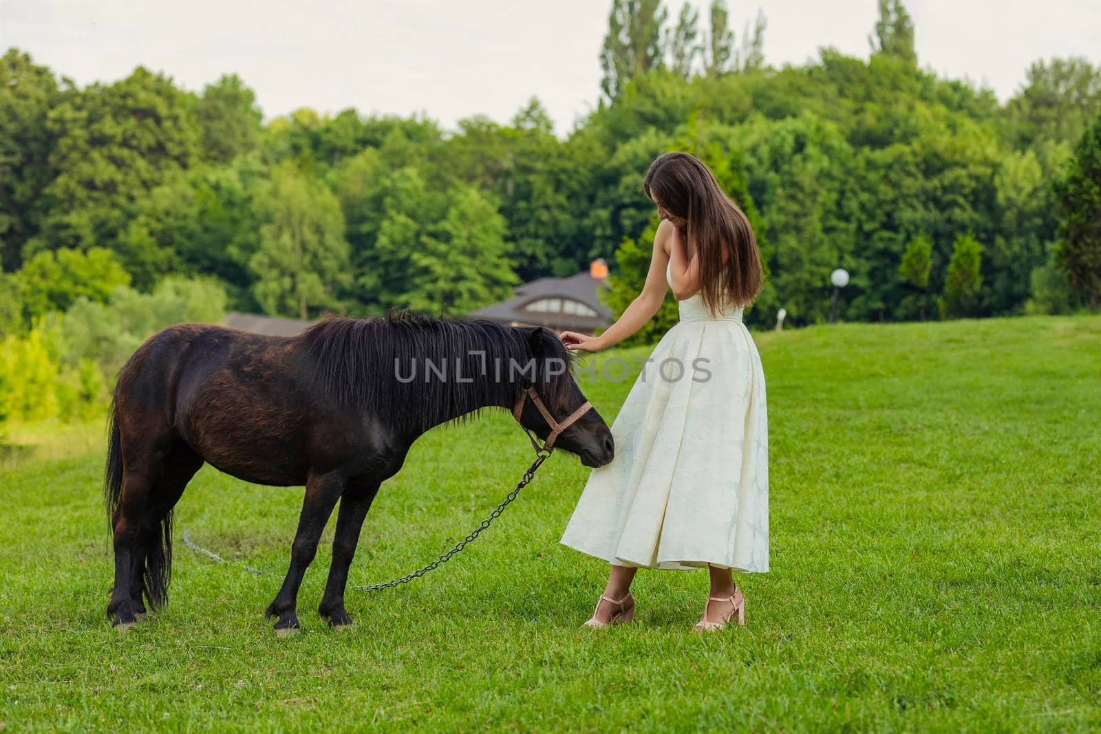 girl next to pony by zokov