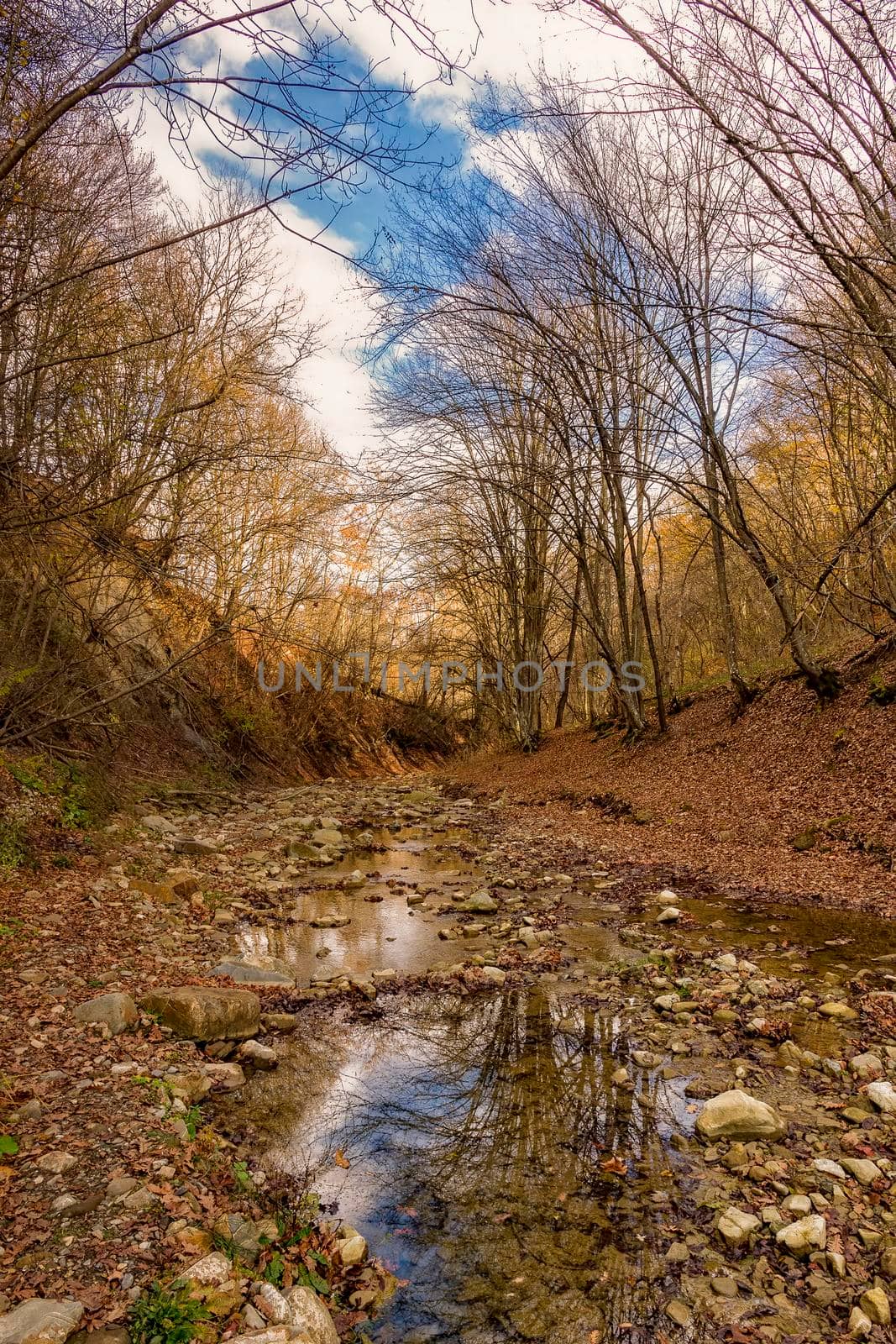 Autumn nature view. Autumn colored landscape view of the autumn forest and small river