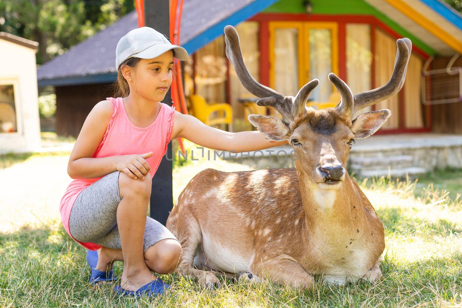 Photo of a young girl feeding deer and hugs him.