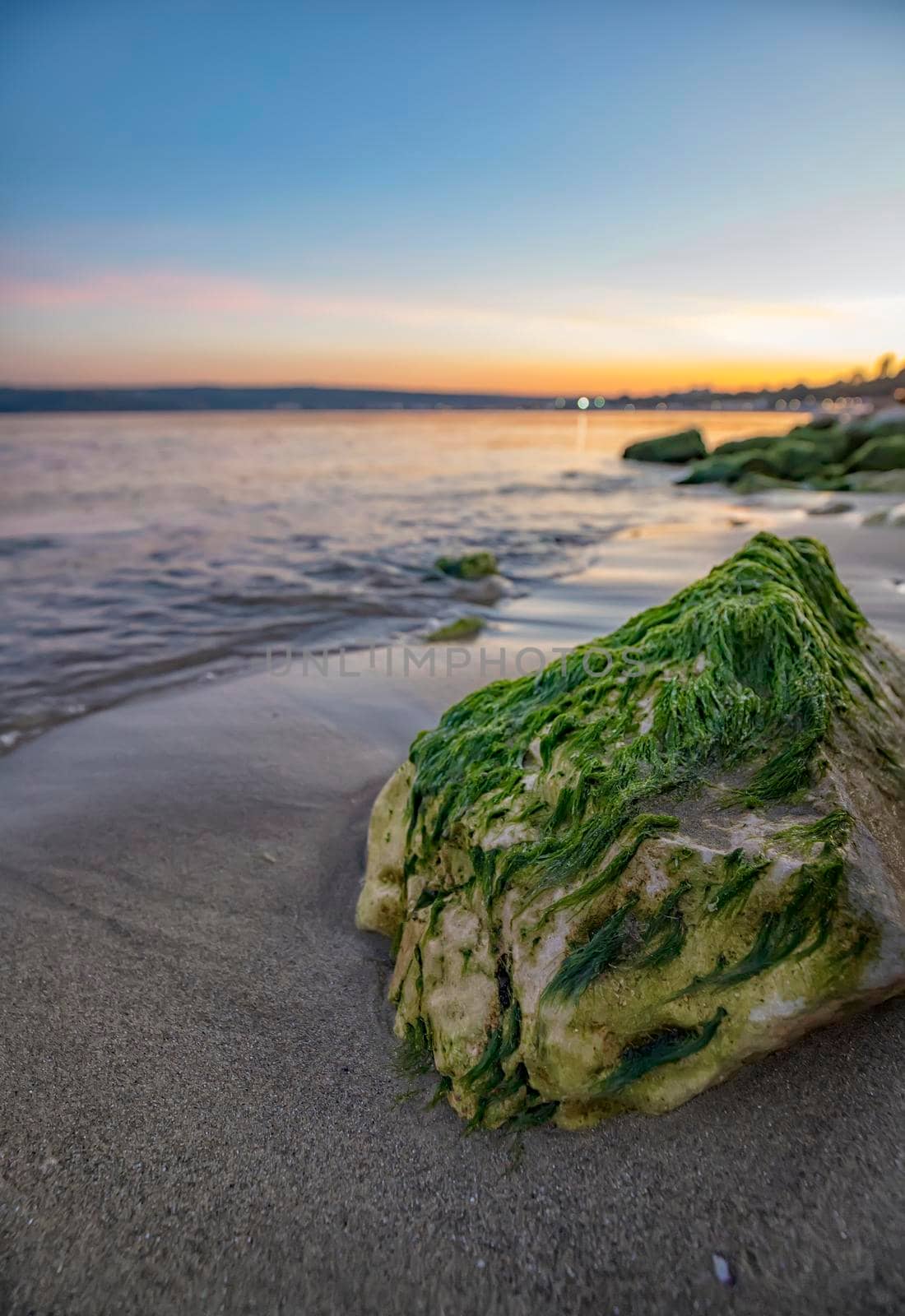 Beautiful seascape with a close view of stone with moss. Blurred background. Vertical view