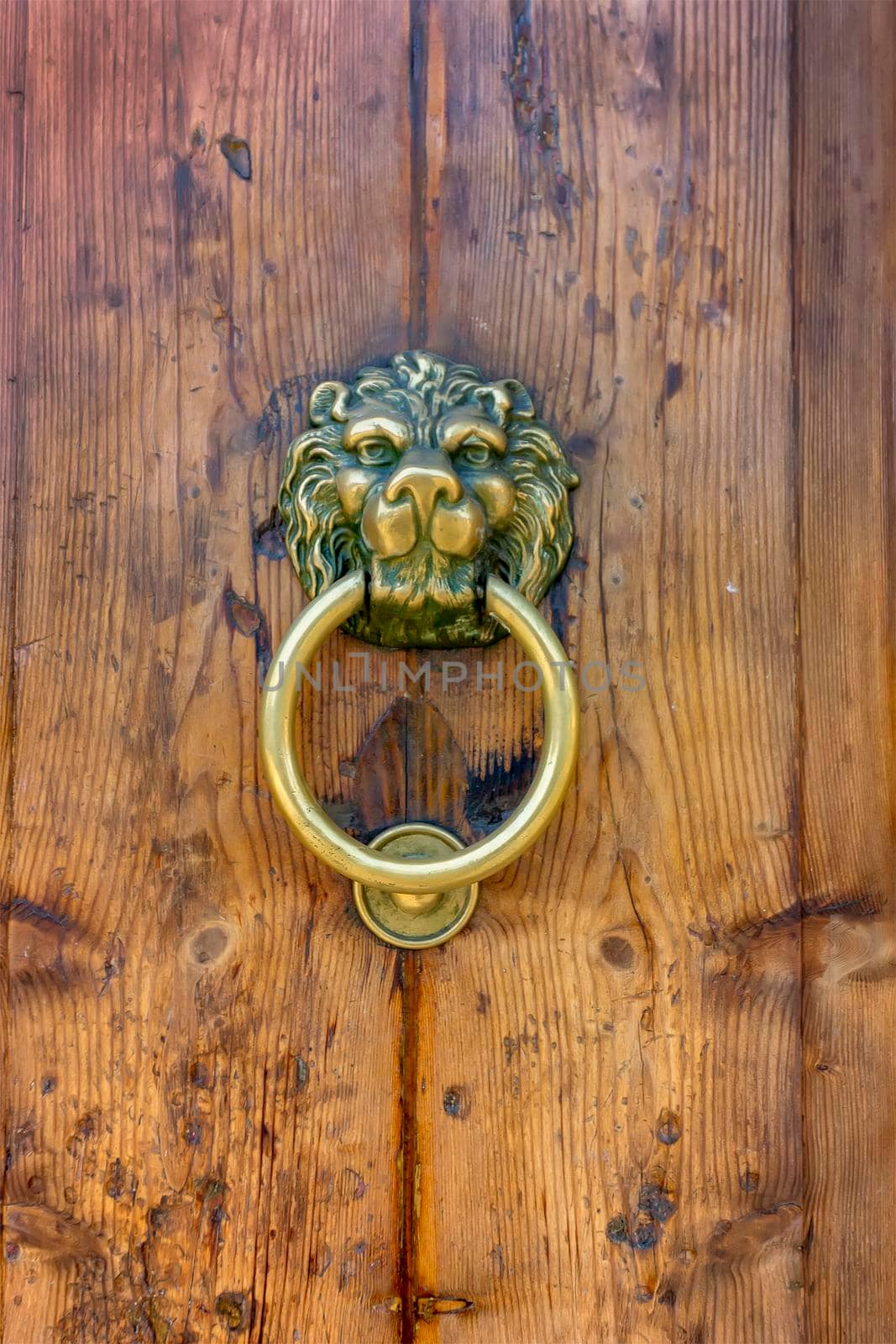 Door knocker. Old antique brass knocker on the wooden doors for knocking. Close up by EdVal