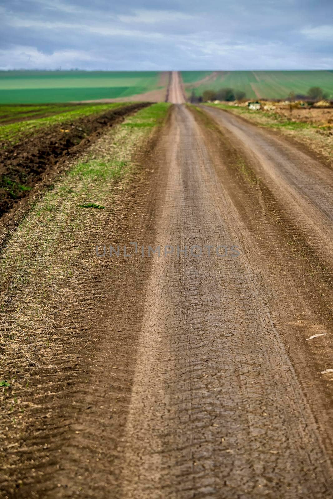 Rural road disappearing on the horizon across the field. Sky covered with white and grey clouds. Blurred background. by EdVal