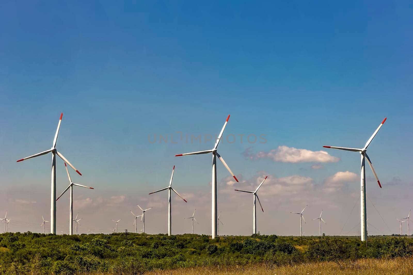 Wind turbine farm under the blue day sky