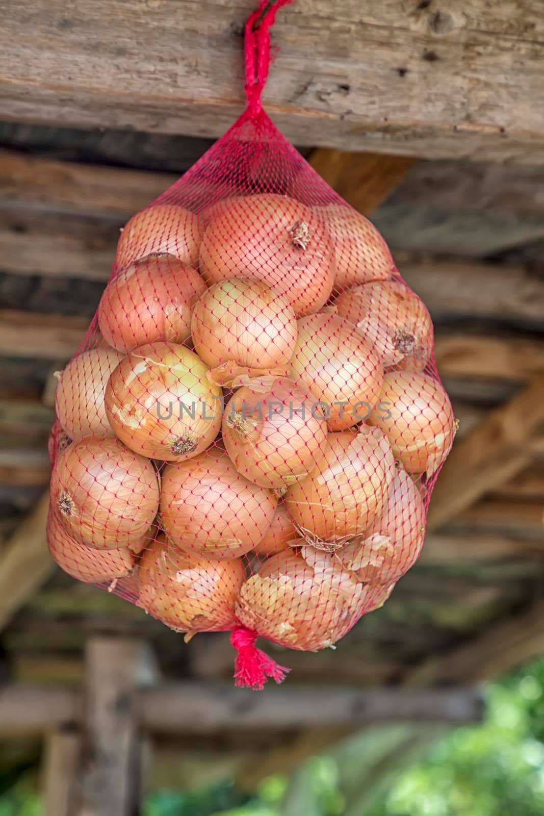 Organic yellow onion in the bag at a market