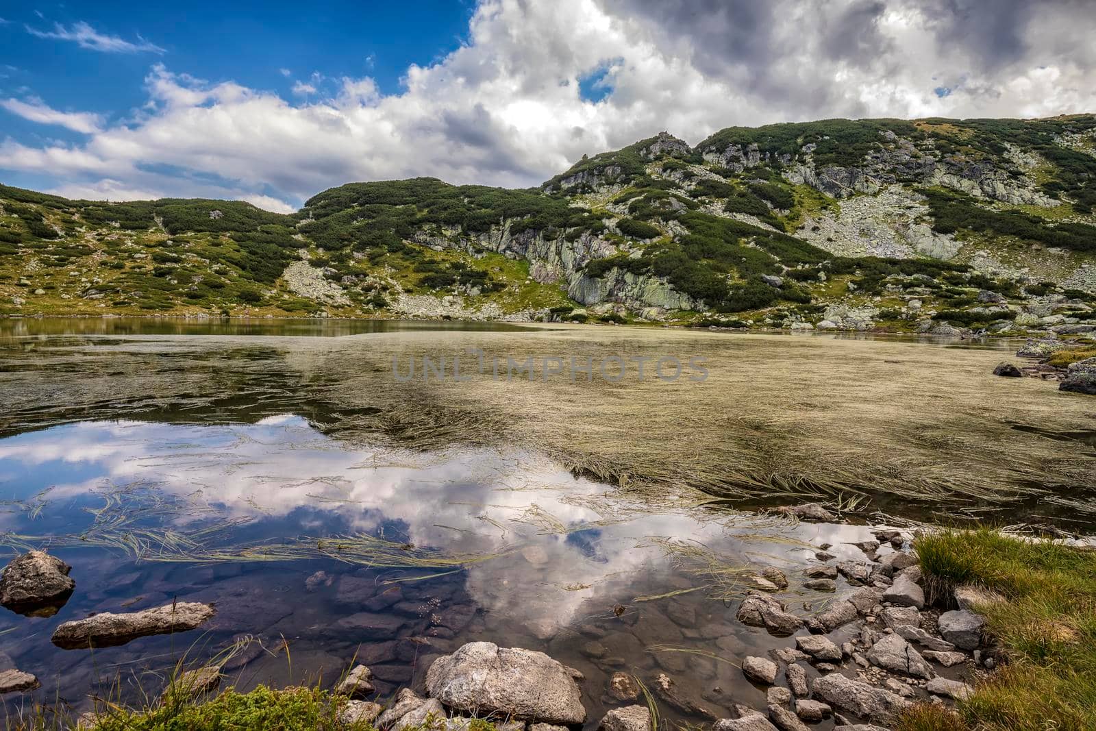 Beautiful landscape of mountain lake with algae in Rila mountain, Bulgaria
