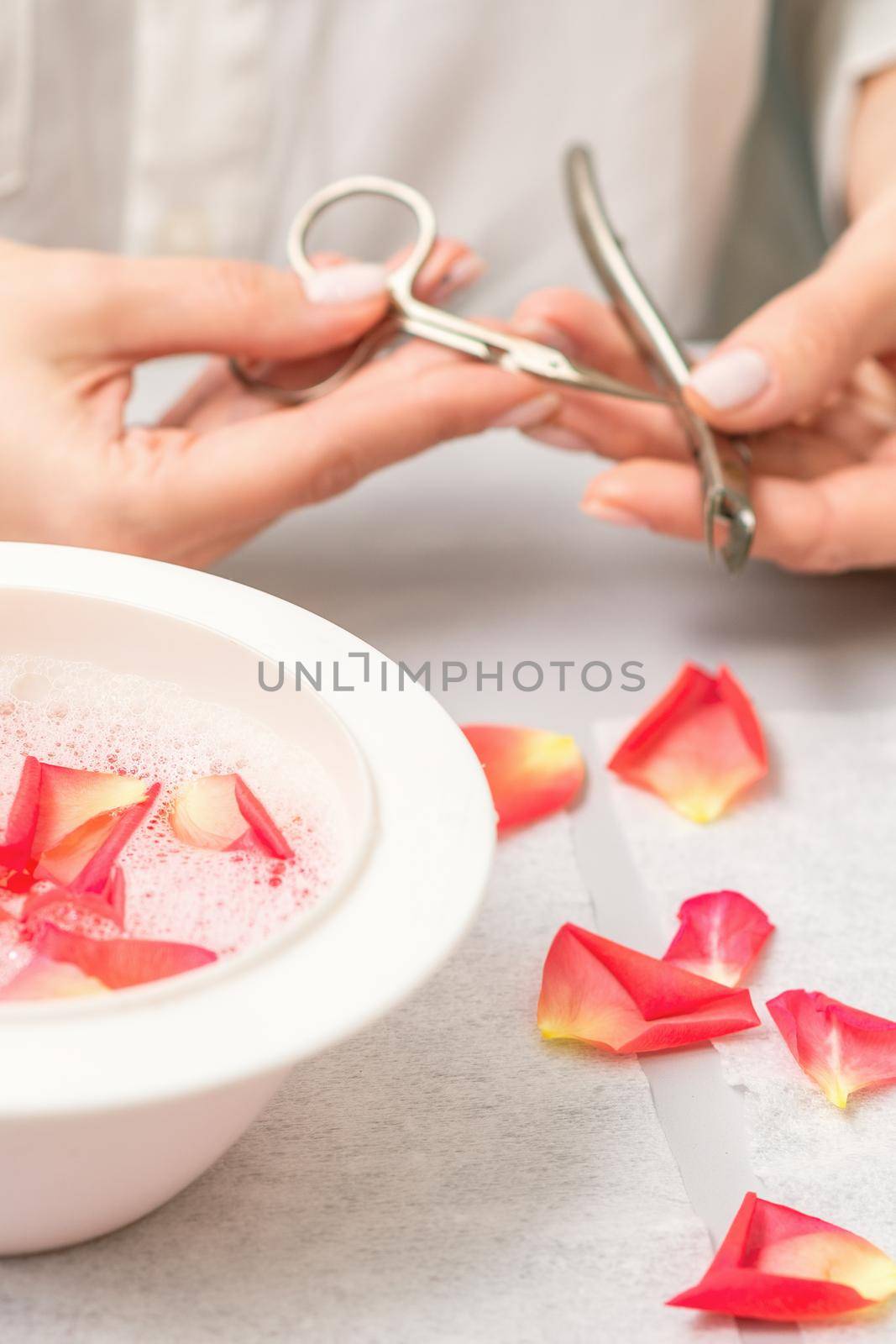 Pink petals in bowl with pure water on white table in beauty spa manicure salon.