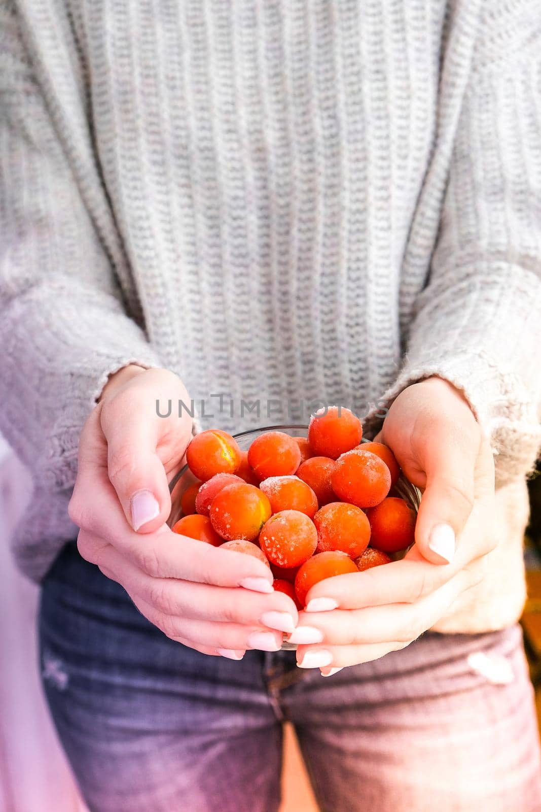Female hands holding bowl with Frozen Cherry Tomatoes. Vegetable preservation. Harvest. Veganism, vegetarian healthy eating. by anna_stasiia