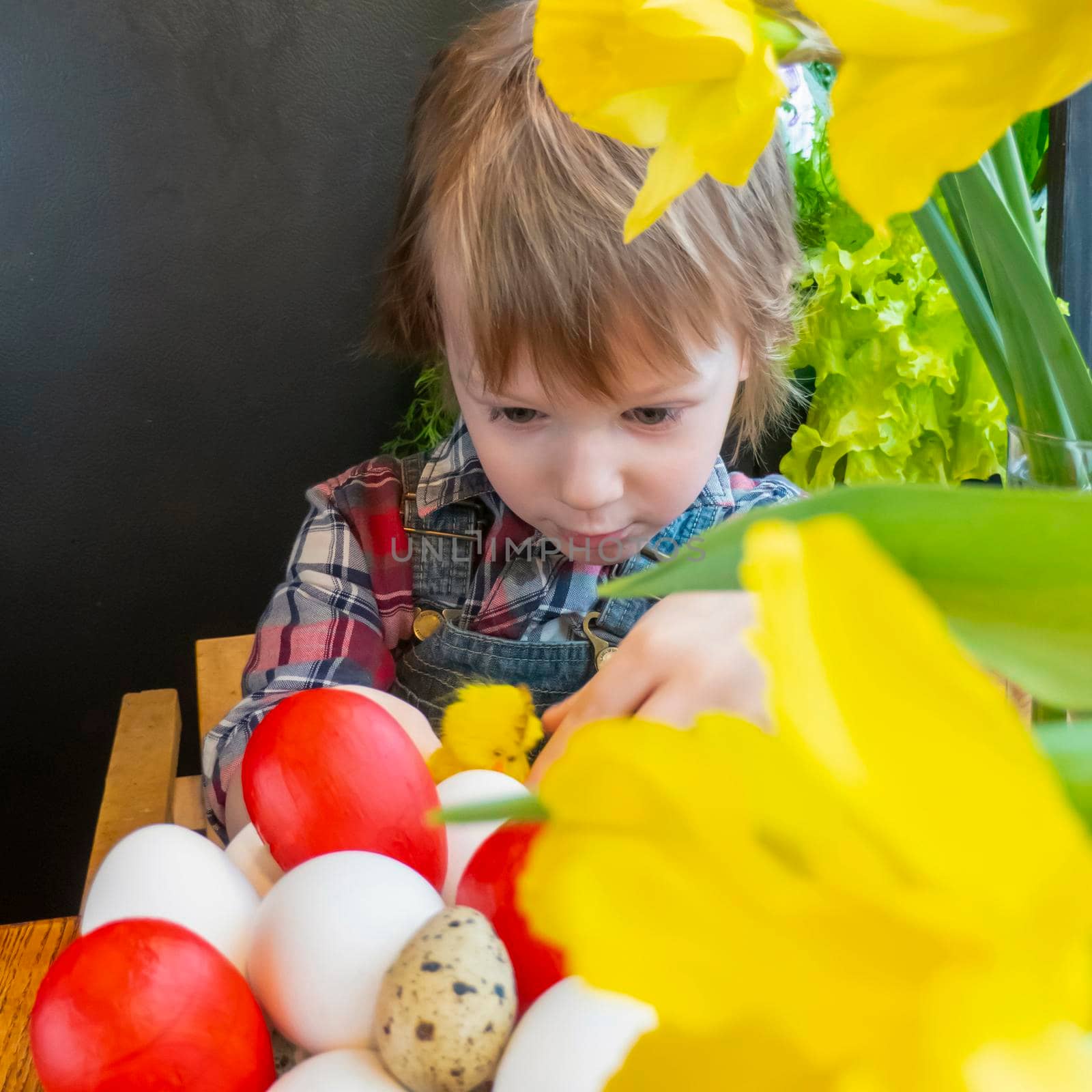 Preparation for Easter: a child plays with painted eggs in the kitchen among fresh greenery and flowers