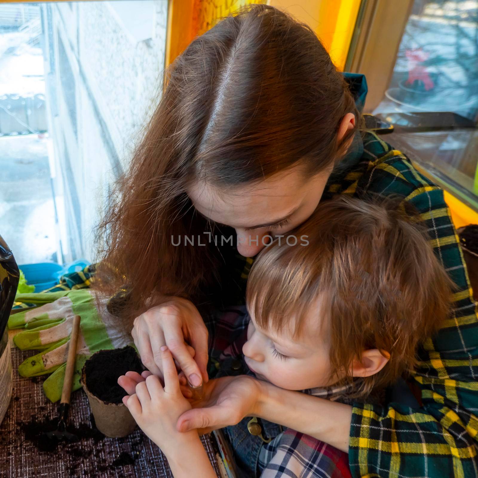 mom and son prepare a hole and plant seeds in a peat pot by kajasja