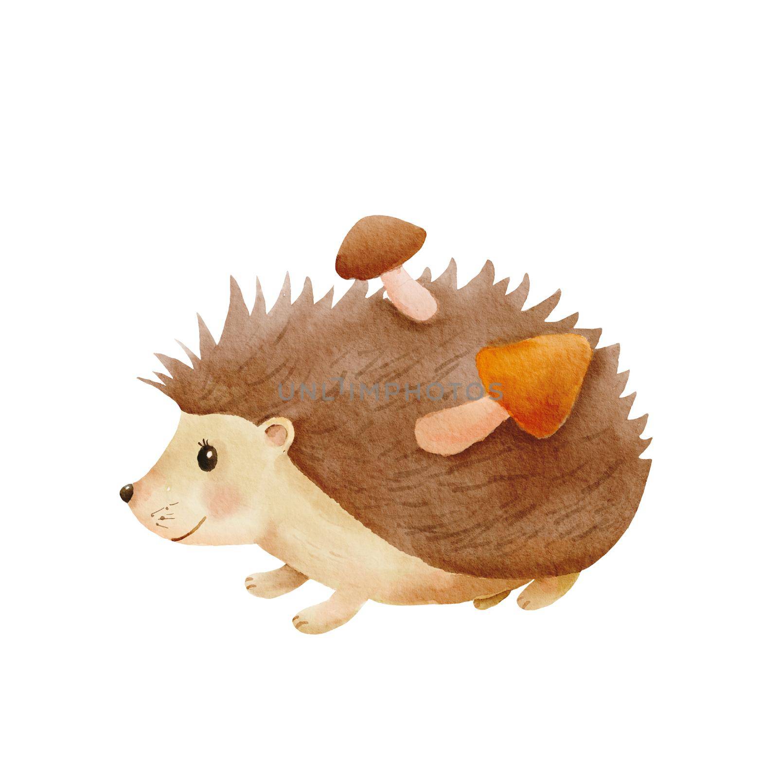 Watercolor cute hedgehog with mushrooms. Hand drawn character forest animal isolated on white background. Woodland fall illustration by ElenaPlatova