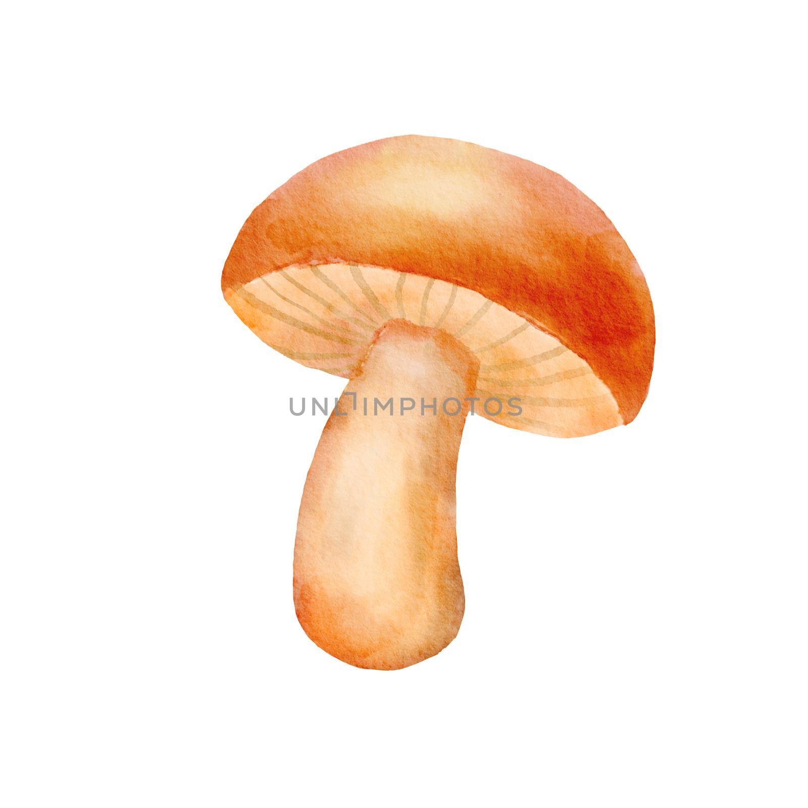 Boletus mushroom isolated on white. Watercolor cute illustration of autumn forest mushroom
