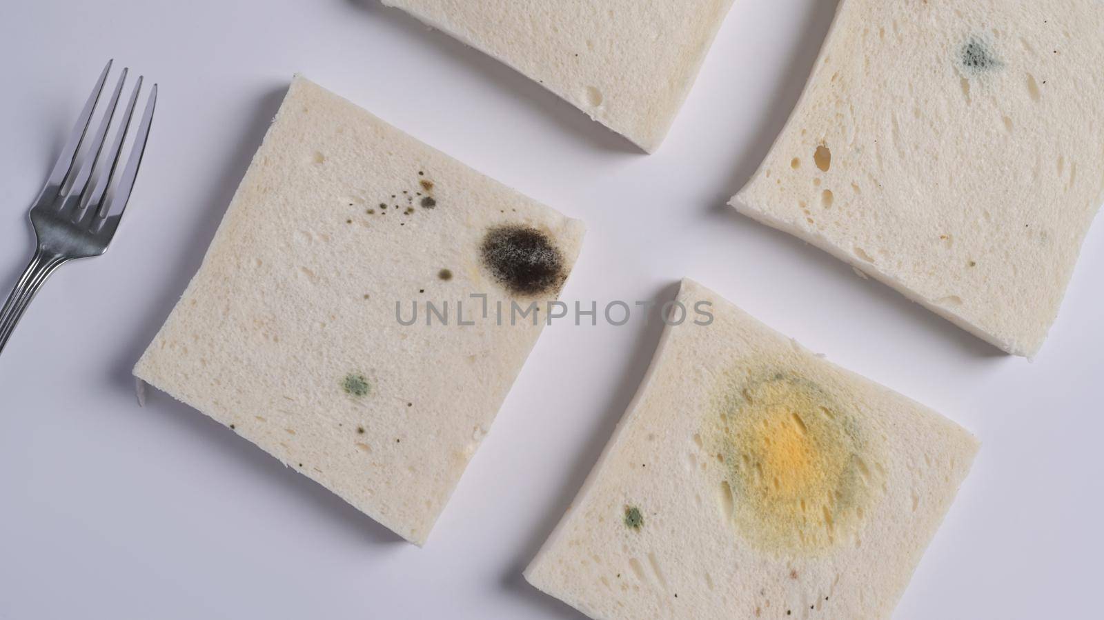 Toast slices with growing mold isolated on white background. Mold fungus on rotten bread. Top view