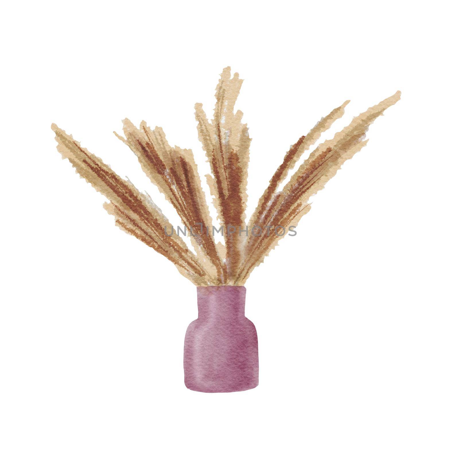 Watercolor hand drawn potted pampas. Room decor isolated on white background. Houseplant in pot.