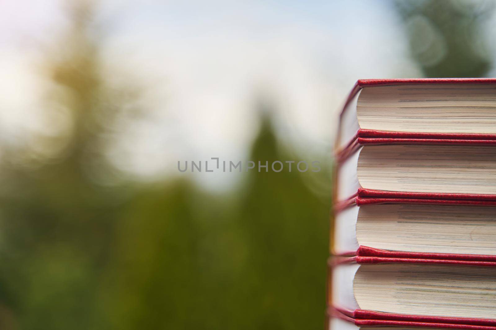 Collection of different books on blurred green background, space for text.