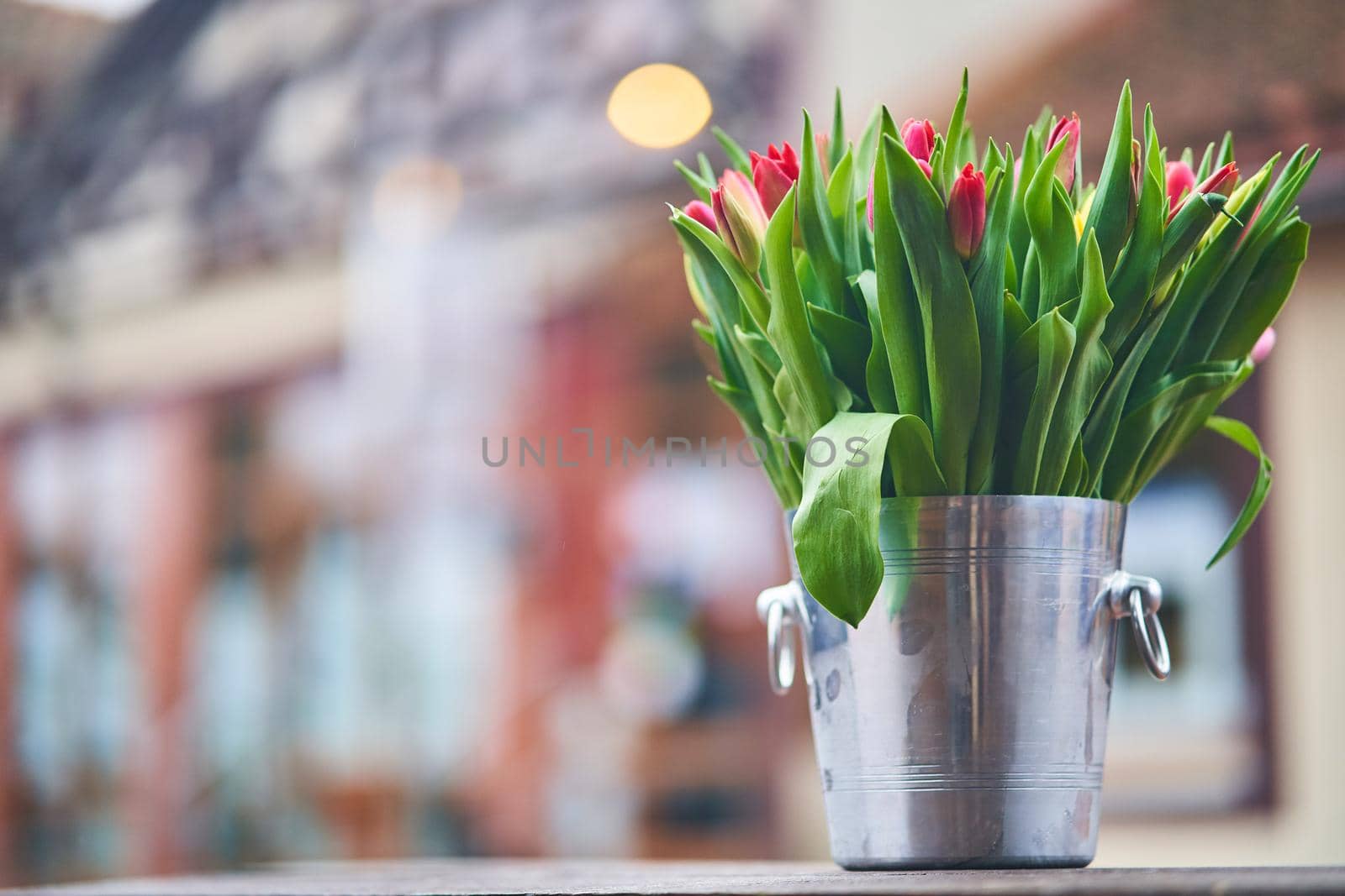 Bouquet of tulips in an iron bucket. Holiday. Gift. Natural flowers.