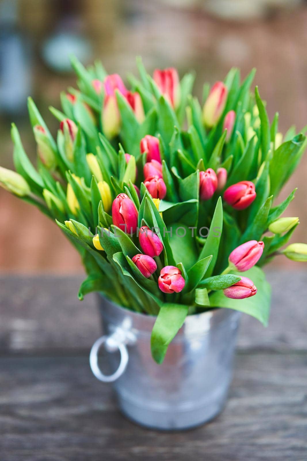 Bouquet of tulips in an iron bucket. Holiday. Gift. Natural flowers.