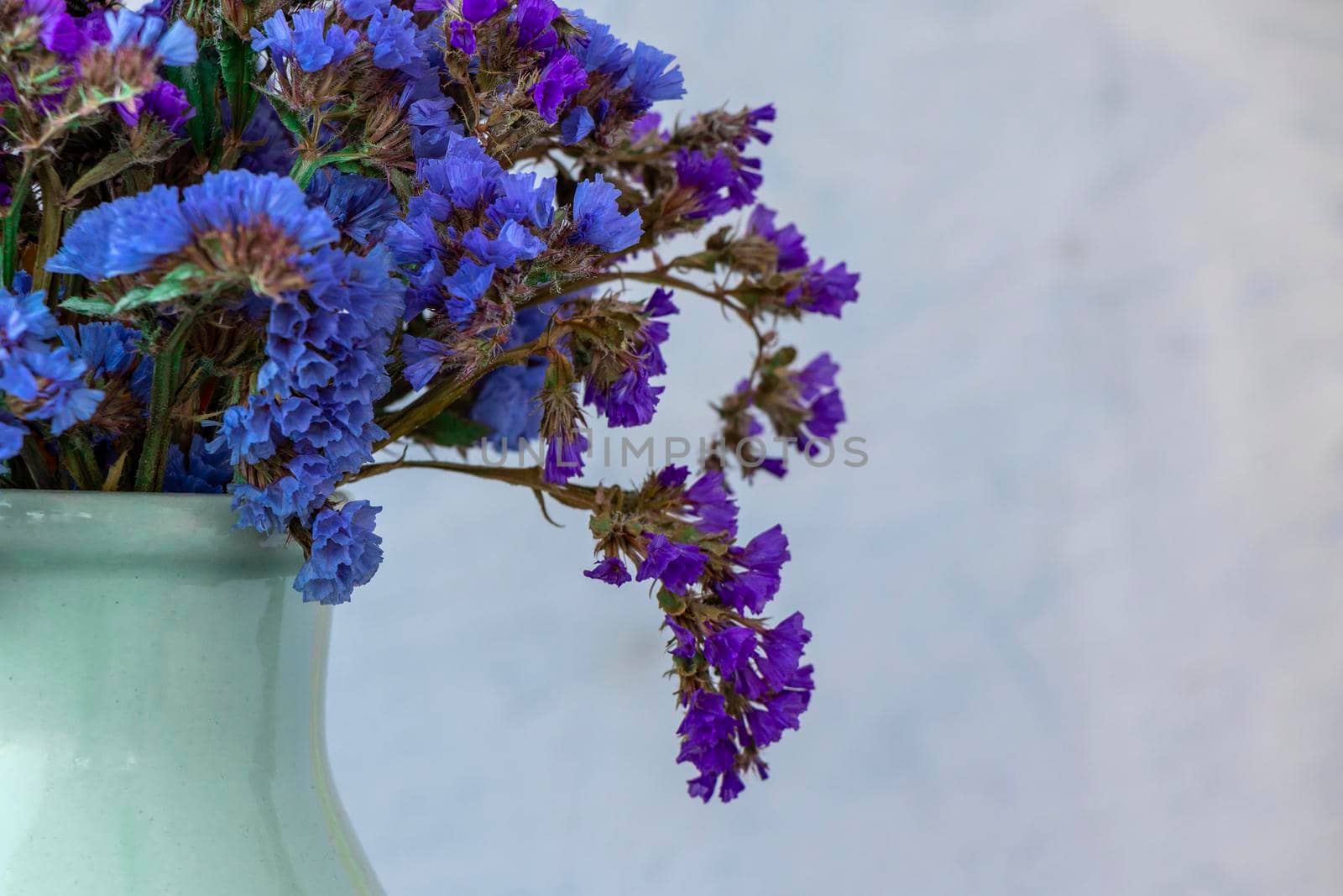close up of a bouquet of blue and purple wild flowers on a gray background with a space for text. floral and summer background. copy space. soft focus