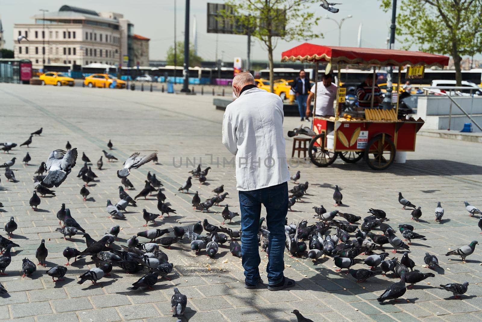 Elderly man feeding pigeons on the street in Istanbul. High quality photo