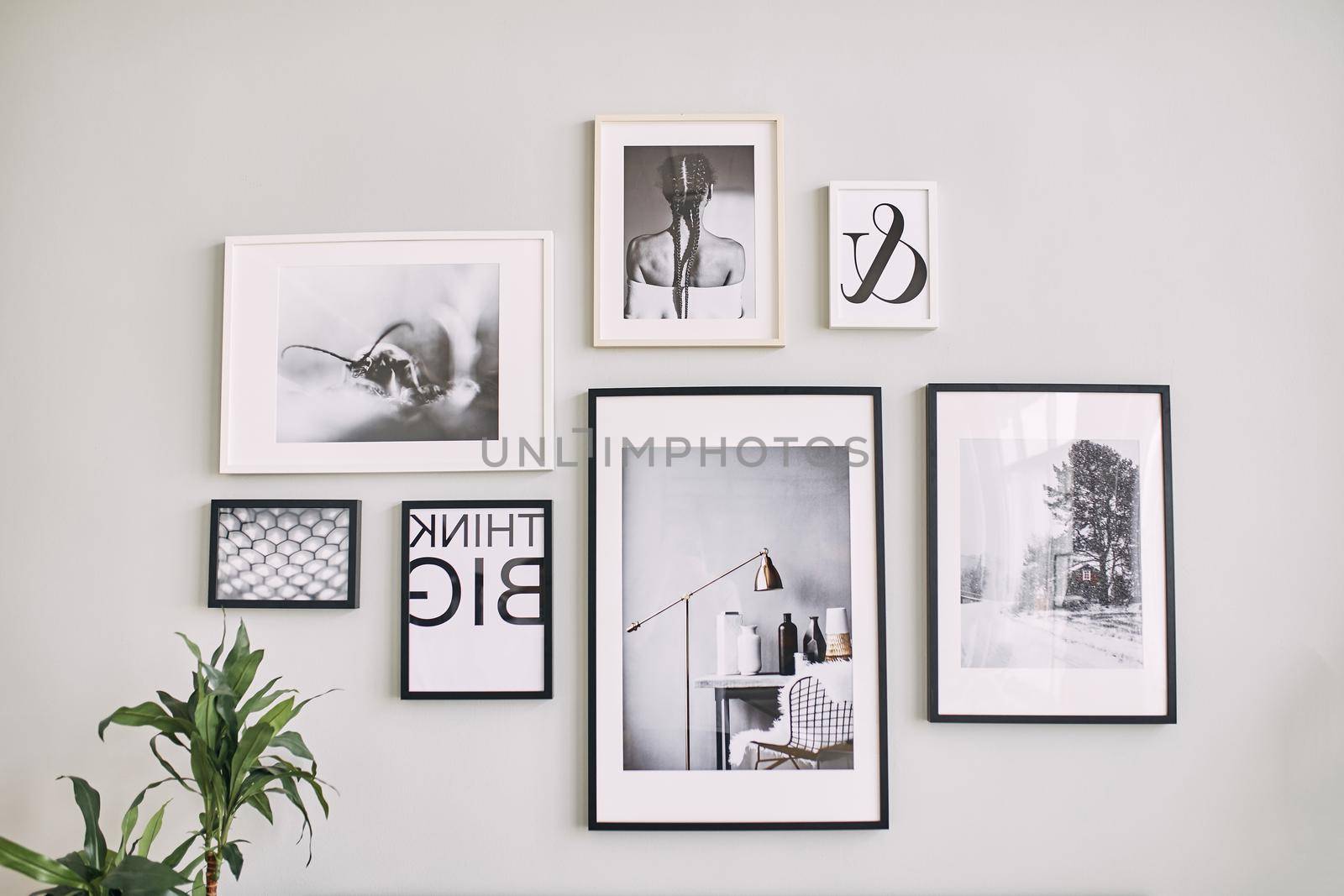 different size framed photos hanging on the gray wall. Stylish framed photos on the wall. Modern interior