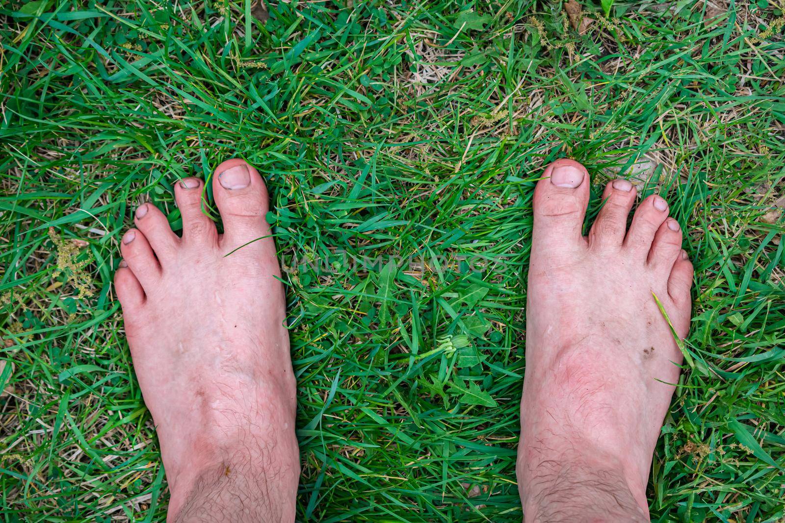 A young man stands barefoot on fresh summer green grass and enjoys relaxing. The concept of walking barefoot and feeling freedom