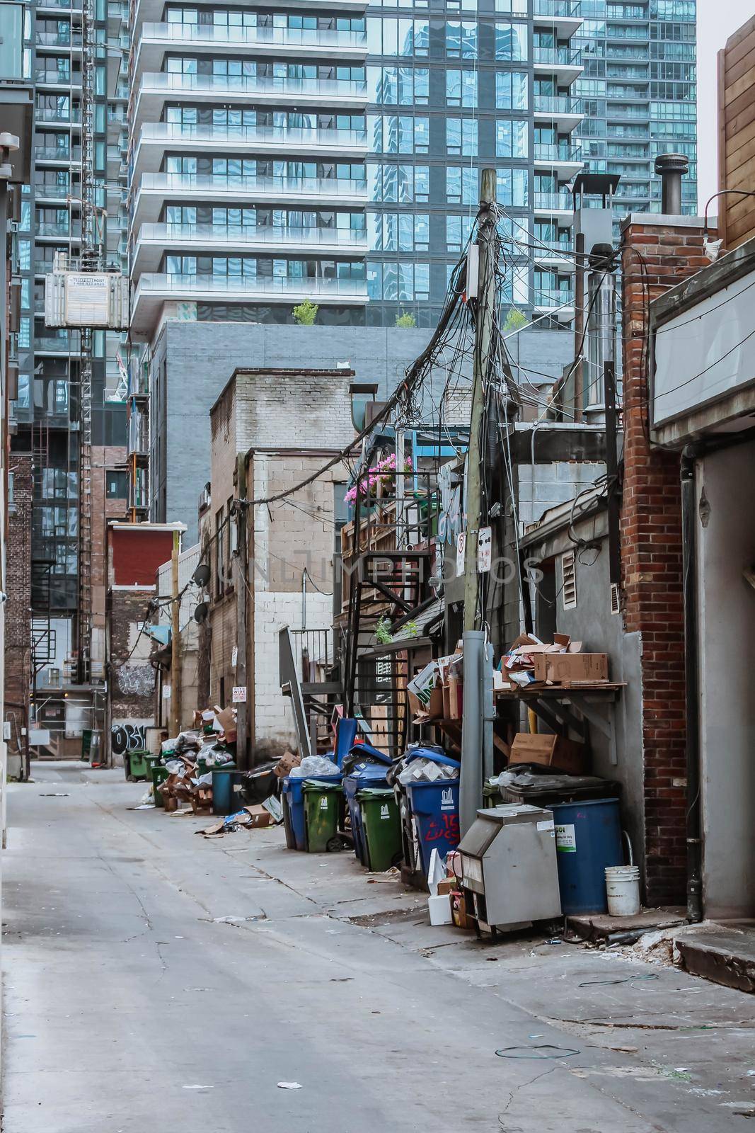 Large garbage pile inside black bags and green containers on street. Toronto, Ontario, Canada - August 29, 2019: by JuliaDorian