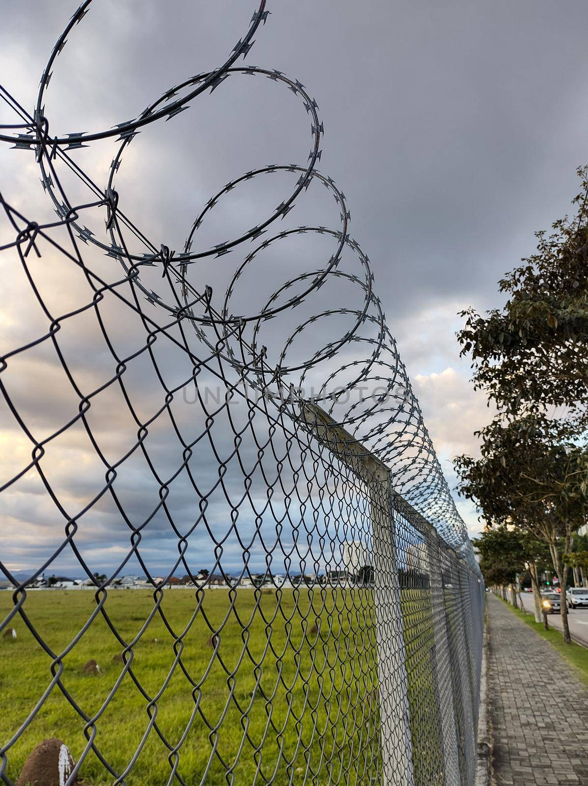 Barbed wire fence in green field, with cloudy sky in the background.