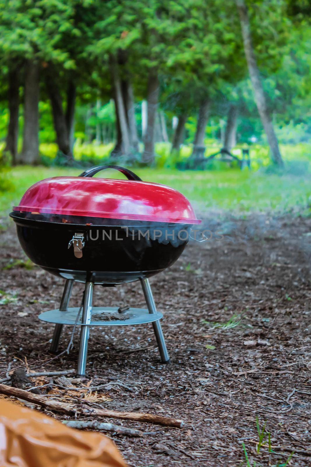 Summer grilling food, sausage, vegetables and kebab meat on barbecue grill over smoke and hot charcoal