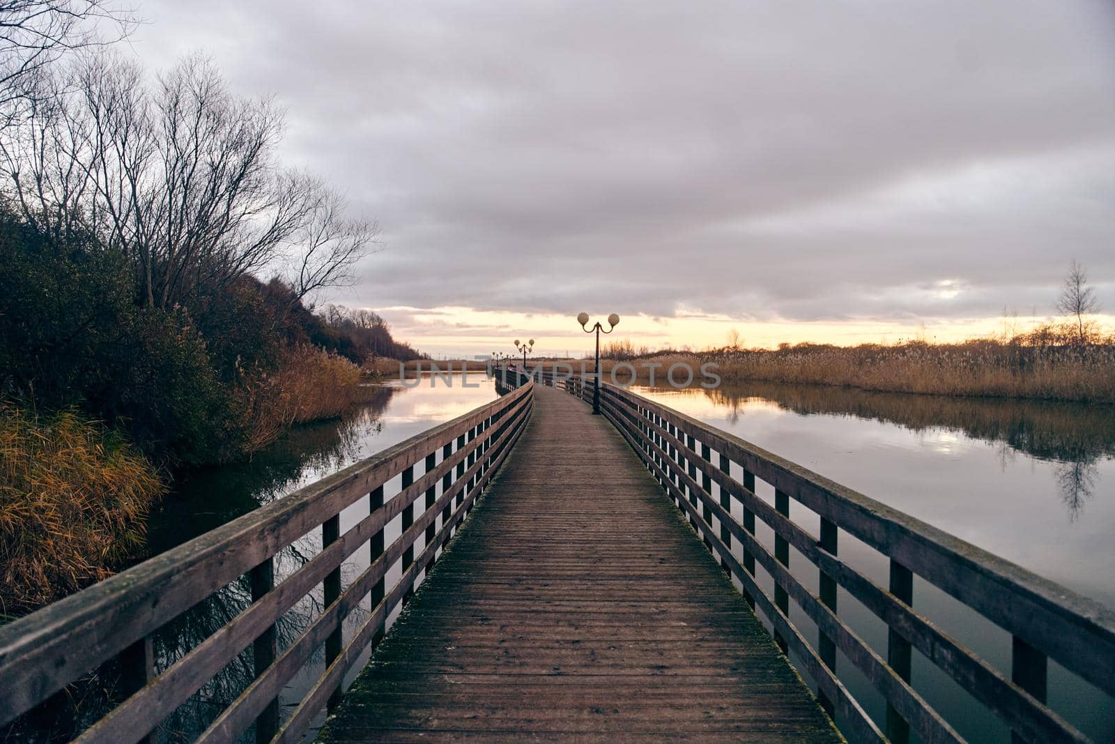 Wooden promenade in the village of Yantarniy. Park wooden walk way. Kaliningrad region. High quality photo